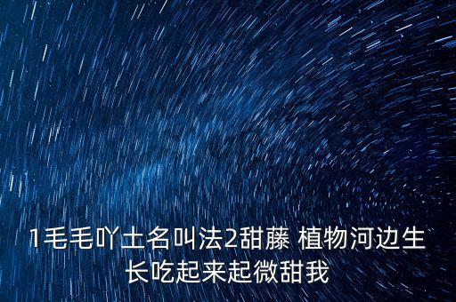 安徽有個(gè)什么林紙業(yè)，坐幾路公交車去安徽華泰林漿紙有限公司