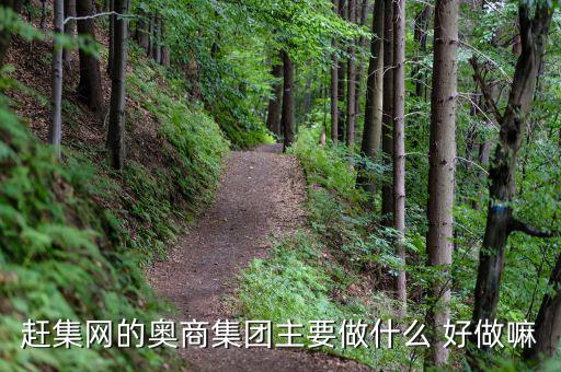 奧骨集團是做什么的，趕集網(wǎng)的奧商集團主要做什么 好做嘛
