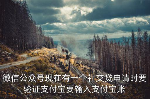 社交貸是什么意思，社交籌是什么