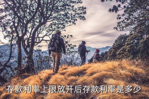 存款上限放開什么時(shí)候，各大商業(yè)銀行放開存款上限有什么政策