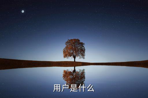 百發(fā)碼用戶是什么，用戶是什么