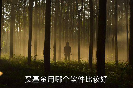 買(mǎi)基金用哪個(gè)軟件比較好