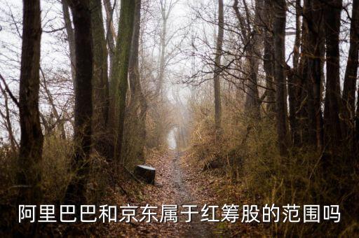 紅籌股是什么意思，權(quán)重股紅籌股