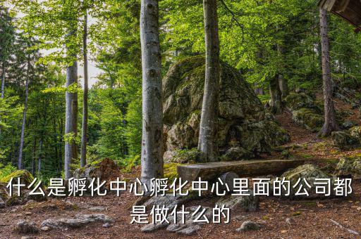 信隆實業(yè)是做什么的，什么是孵化中心孵化中心里面的公司都是做什么的