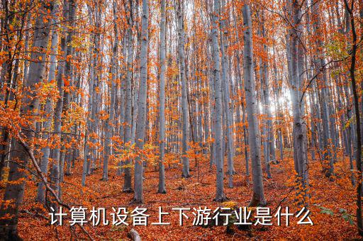 什么是計(jì)算機(jī)上游行業(yè)，軟件行業(yè)的上下游行業(yè)有哪些