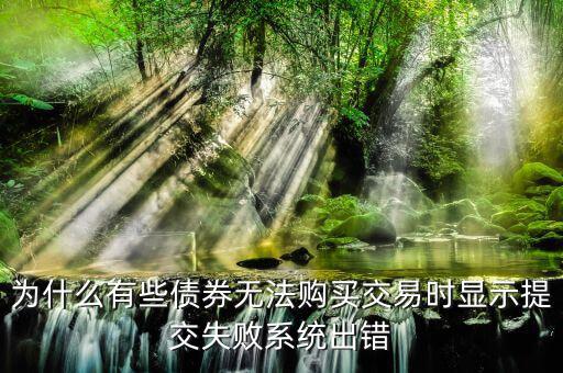 為什么有些債券無法購買交易時(shí)顯示提交失敗系統(tǒng)出錯(cuò)