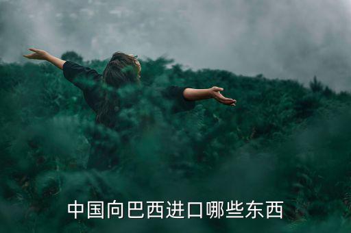 美國從巴西進口什么，中國向巴西進口哪些東西