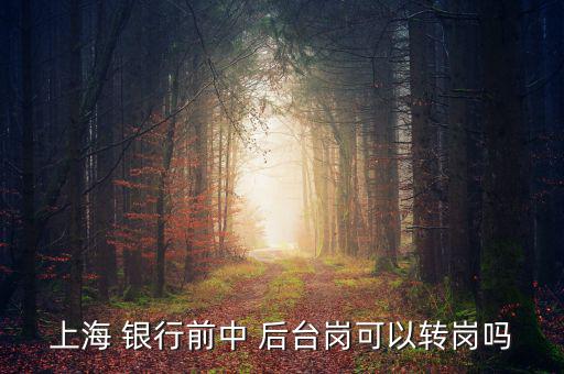 銀行前臺怎么轉(zhuǎn)后臺,銀行分為中央銀行和政策銀行、商業(yè)銀行等