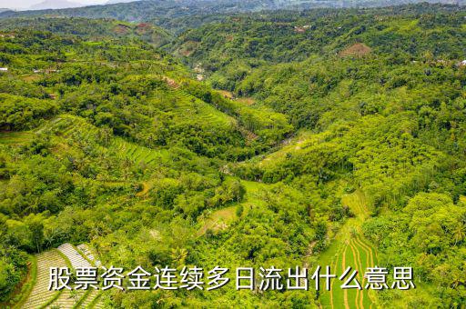 為什么一支股票連續(xù)幾月大單流出，股票資金連續(xù)多日流出什么意思