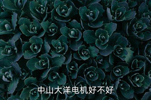 中山大洋電機屬于什么行業(yè)，中山大洋電機好不好