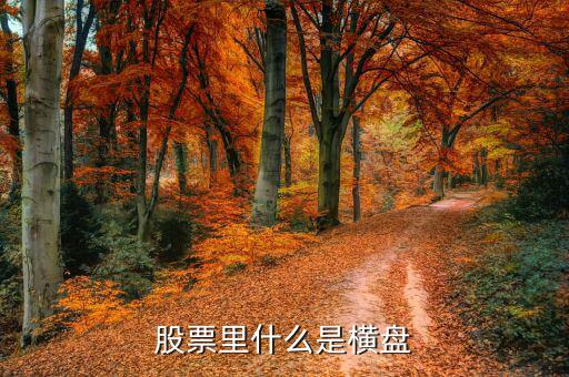 橫盤調(diào)整什么意思，股民們說(shuō)的建倉(cāng)橫盤是什么意思