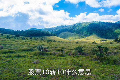 股票10送10轉(zhuǎn)10是什么意思，股市什么是10送10