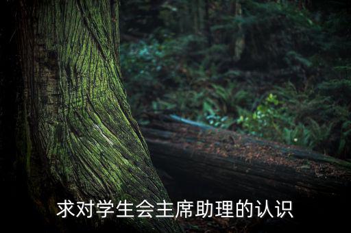 求對學(xué)生會主席助理的認識