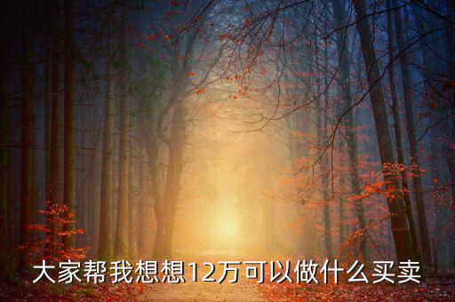 12萬投資什么項(xiàng)目，投資十二萬元能做什么呢