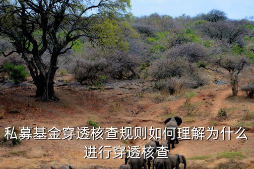 基金的穿透是什么意思，私募基金合格投資者的穿透核查怎么理解