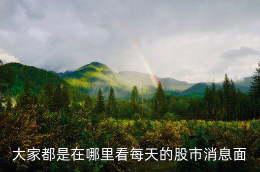 每天的股票信息看什么網(wǎng)站，大家都是在哪里看每天的股市消息面
