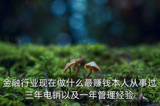 金融行業(yè)現(xiàn)在做什么最賺錢(qián)本人從事過(guò)三年電銷以及一年管理經(jīng)驗(yàn)