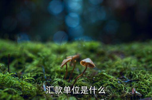 握手匯是什么公司，握手匯的免稅倉庫在哪里有多大面積