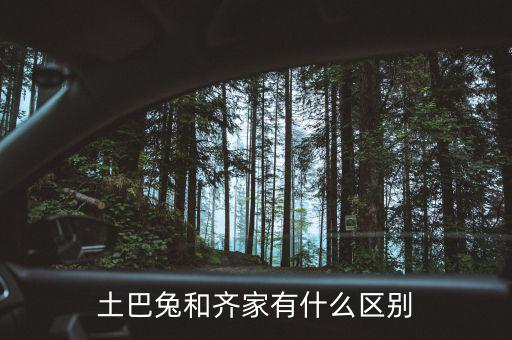 齊家網(wǎng)什么模式，鄭州新開了一個(gè)什么齊家網(wǎng)是干什么的啊