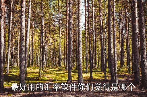 外匯用什么軟件，什么外匯交易軟件最好