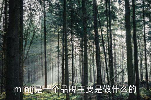 曹山石是干什么的，minij是一個(gè)品牌主要是做什么的