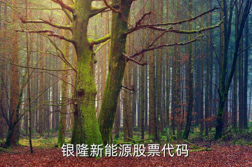 銀龍股份什么時候上市，銀隆新能源股票代碼