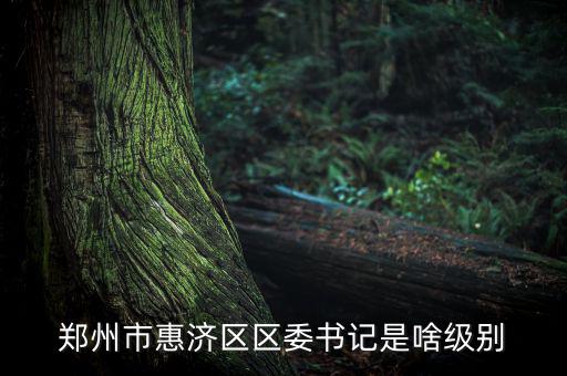 王洪章是什么級別，武警江西省總隊司令是什么級別