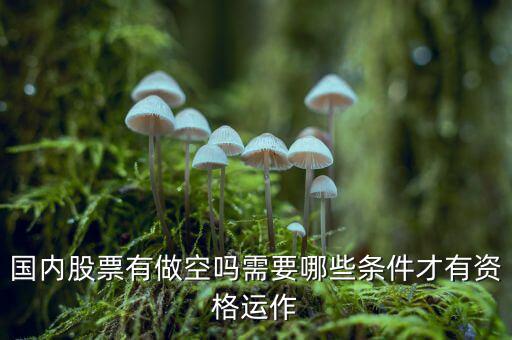 什么股票才可以做空，同花順里面有沒有可以做空的股票