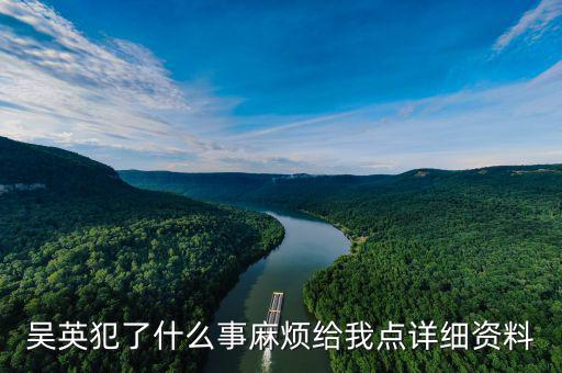 吳英什么案，吳英案到底是怎么回事