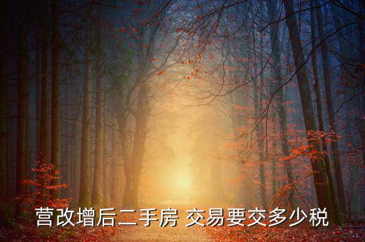 二手房營改增后買賣要上什么稅，營改增后二手房 交易要交多少稅
