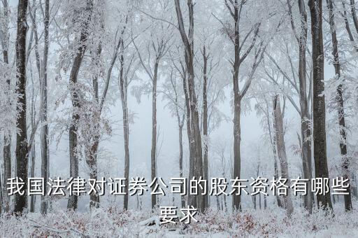 金融公司應(yīng)引入什么樣的股東，我國法律對(duì)證券公司的股東資格有哪些要求