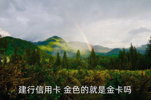 建設(shè)銀行信用卡什么卡種是金卡，我申請建設(shè)銀行的信用卡我申請的是金卡審核通過了上面寫的卡