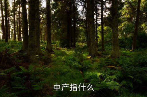 中產(chǎn)消費(fèi)什么，網(wǎng)易電商平臺帶給中產(chǎn)消費(fèi)者的核心價值是什么