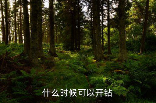 什么時(shí)候可以開(kāi)鉆