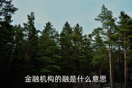 金融機構的融是什么意思，融資中的融是什么意思
