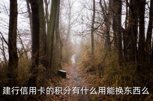 建行信用卡積分能兌換什么，請問下建行信用卡1萬多積分可以換什么