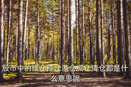 為什么減倉(cāng)，減倉(cāng)是什么意思什么是減倉(cāng)