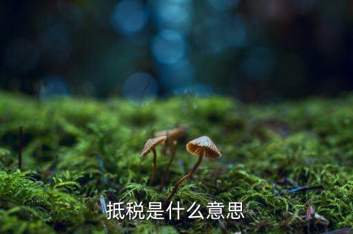 公司抵稅是什么意思，抵稅是什么意思