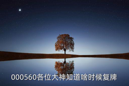 000560各位大神知道啥時(shí)候復(fù)牌
