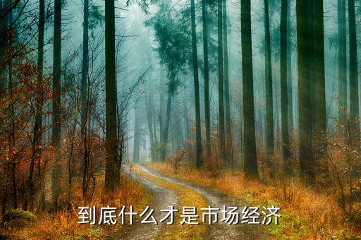 什么是市場經(jīng)濟(jì)，什么是市場經(jīng)濟(jì)