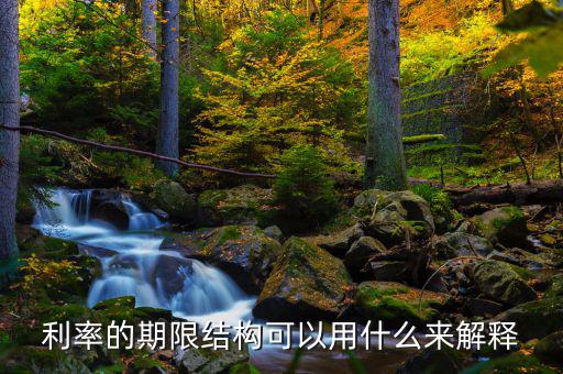 利率的期限結構可以用什么來解釋，簡述利率的期限結構