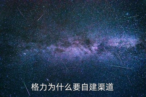 格力為什么自建渠道，格力與國(guó)美電器將來(lái)的合作的可能性如何請(qǐng)說(shuō)明原因