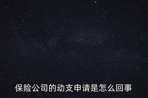 什么是動(dòng)支申請(qǐng)，怎么樣支申請(qǐng)