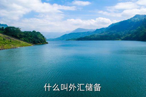什么是外匯儲備，什么叫外匯儲備