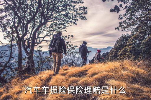 車損險都賠什么，車損險涉及到哪些賠償