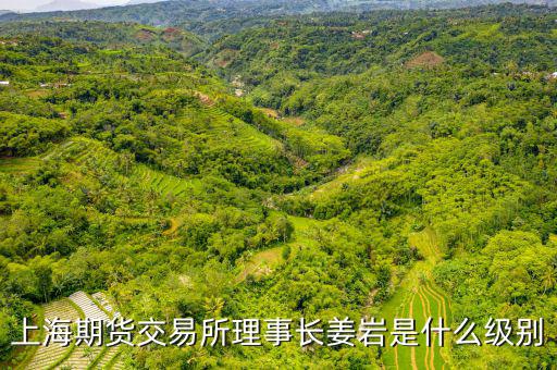 上交所理事長(zhǎng)什么級(jí)別，上海期貨交易所理事長(zhǎng)姜巖是什么級(jí)別