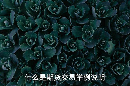 期權(quán)期貨是什么意思，期權(quán)與期貨是什么意思