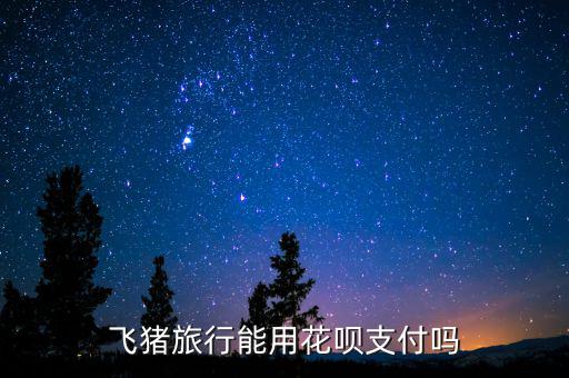阿里巴巴abs什么時(shí)候推出的，交易貓可以用螞蟻花唄支付嗎