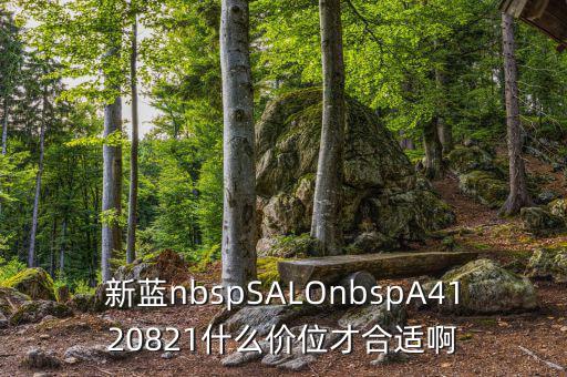 久遠(yuǎn)銀海什么價(jià)位才賣，新藍(lán)nbspSALOnbspA4120821什么價(jià)位才合適啊