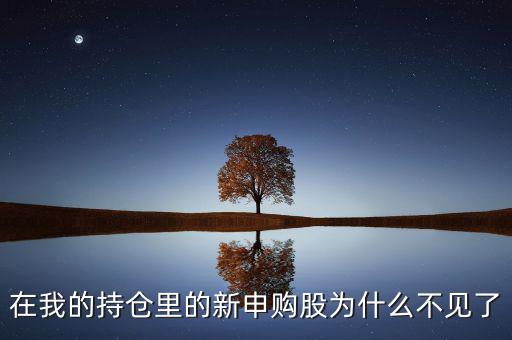 在我的持倉里的新申購股為什么不見了